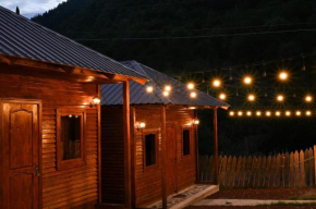 Guest House Ushba Gate